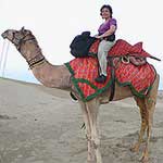 Kamelreiten
